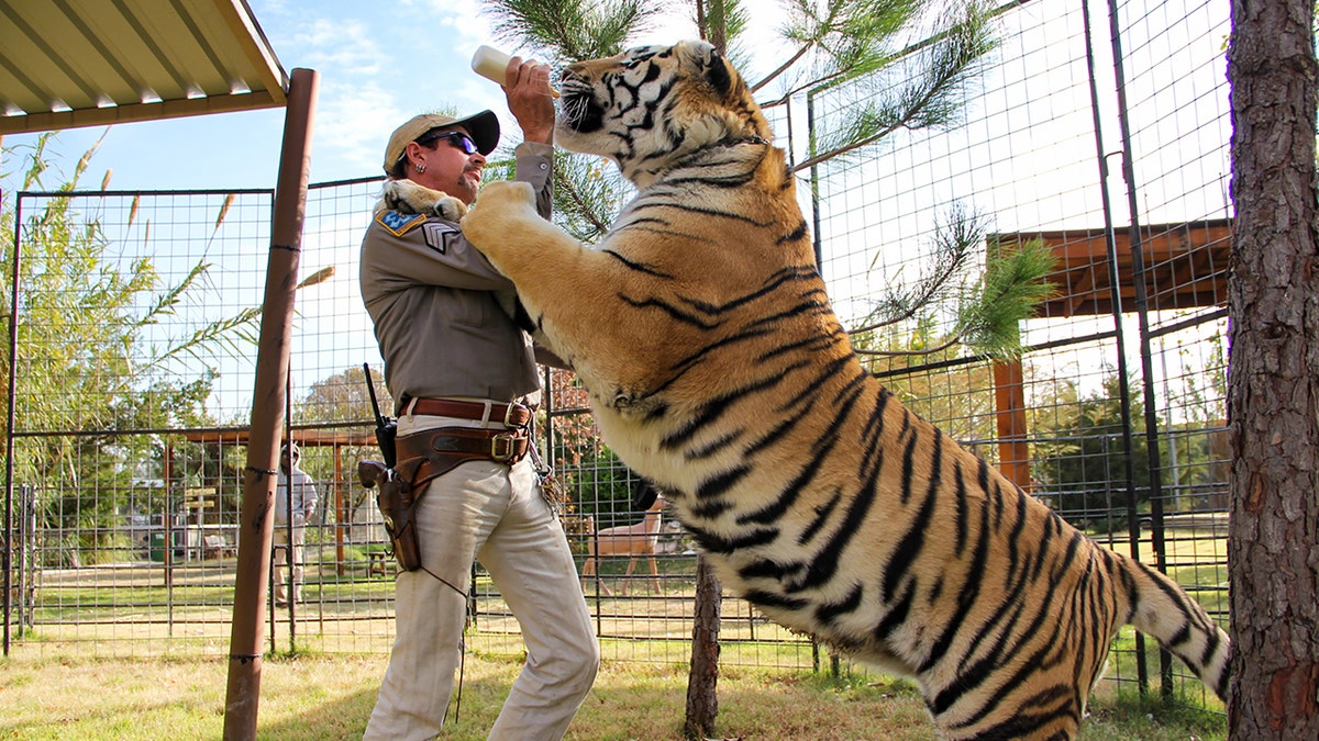 PETA originally made its feelings for Joe Exotic and his Oklahoma zoo known after the seven-part Netflix docuseries dropped earlier this year.