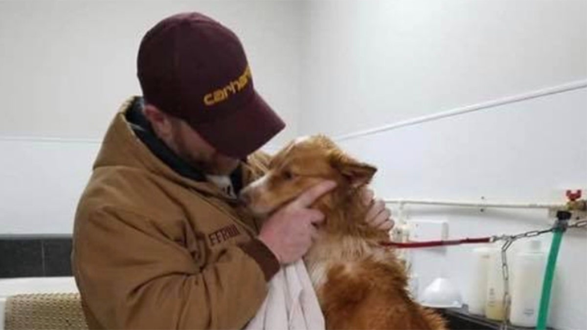 I just broke down': Family reunited with dog 54 days after deadly Tennessee  tornado