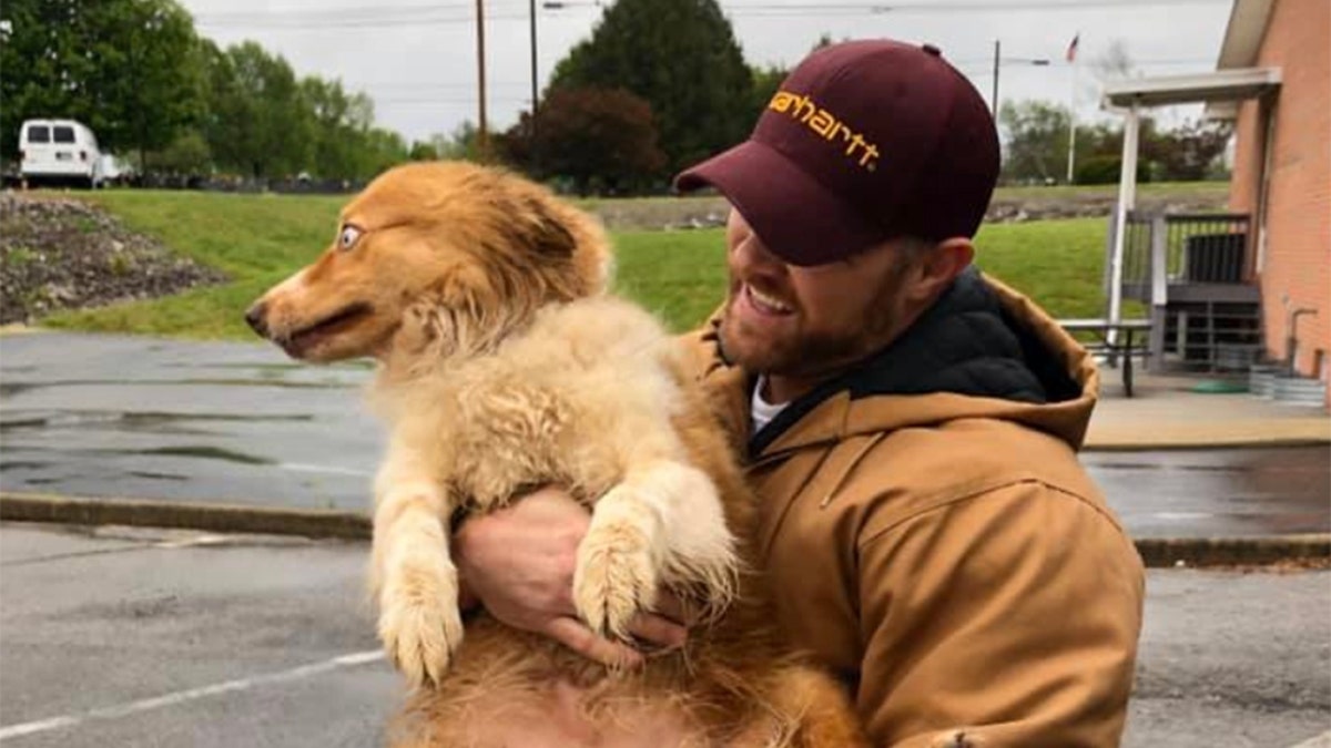 In this image taken Sunday, Bella, an Australian shepherd, is held by her owner Eric Johnson in Cookeville, Tenn. The dog was found Sunday after being missing for 54 days following a tornado that ravaged Putnam County and flattened the Johnson’s family home in early March.