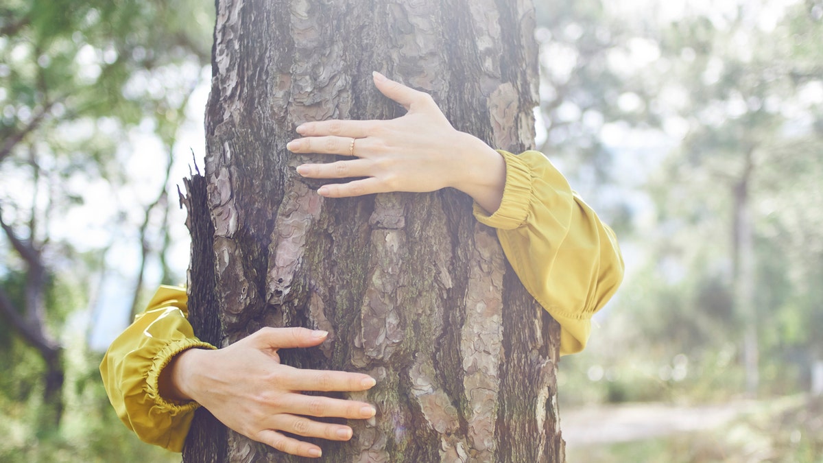 The forestry services are not just suggesting citizens find a tree to hold, however, they are also encouraging people to get outside in general and engage in outdoor activities as a safe way to relax and de-stress.