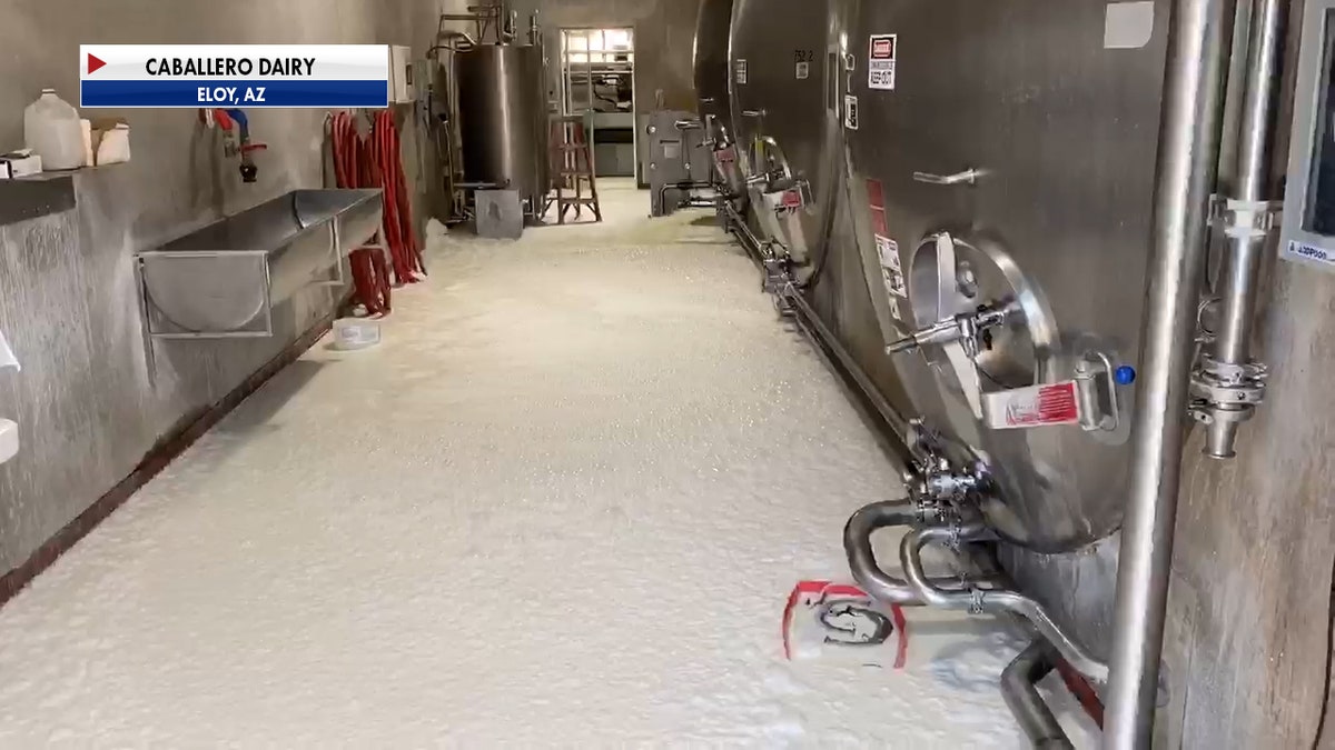 The Coronavirus pandemic has forced dairy farmers across the U.S. to dump their milk as sales have taken a huge hit. Craig Caballero’s Dairy farm in Eloy, AZ had to dump their milk last week (Caballero Dairy).