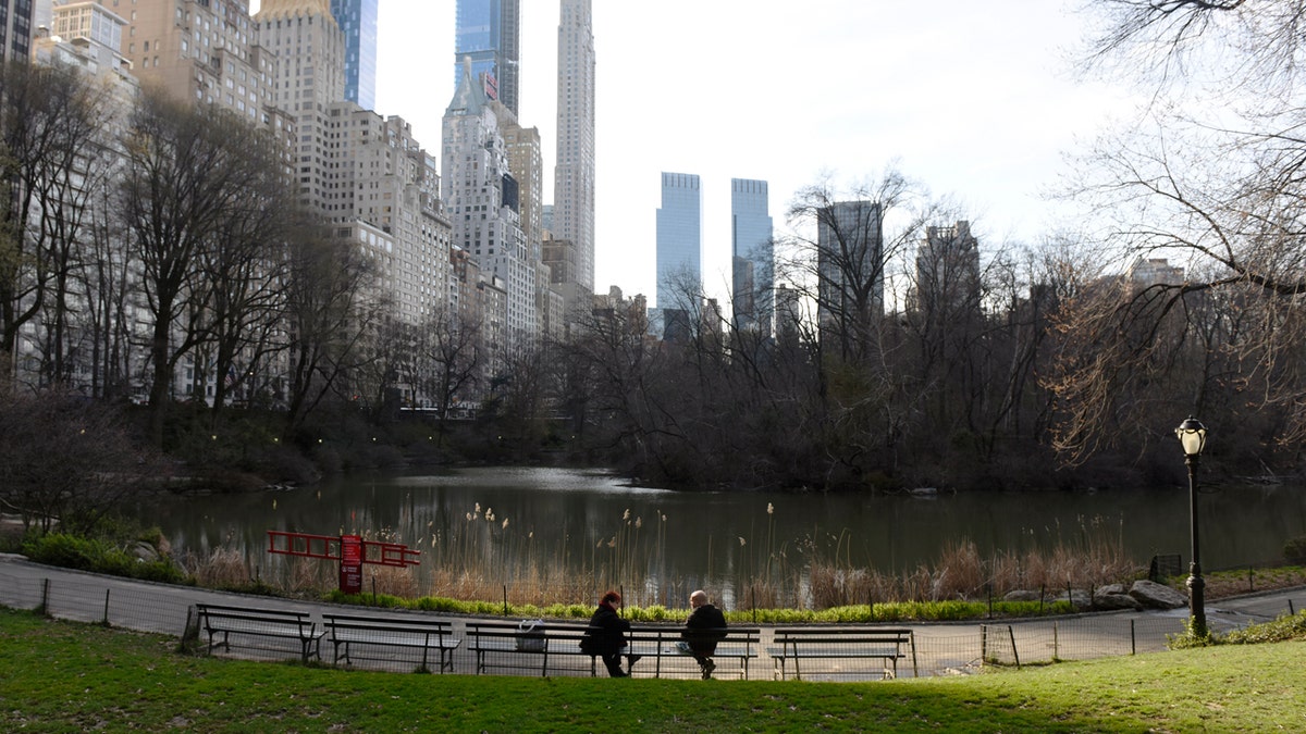 A New York City councilman said if the number of coronavirus deaths overwhelms morgues, a contingency plan would use a city park for "temporary interment."