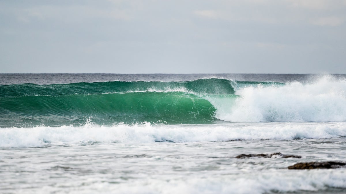 The high seas are home to some of the world's greatest biodiversity.