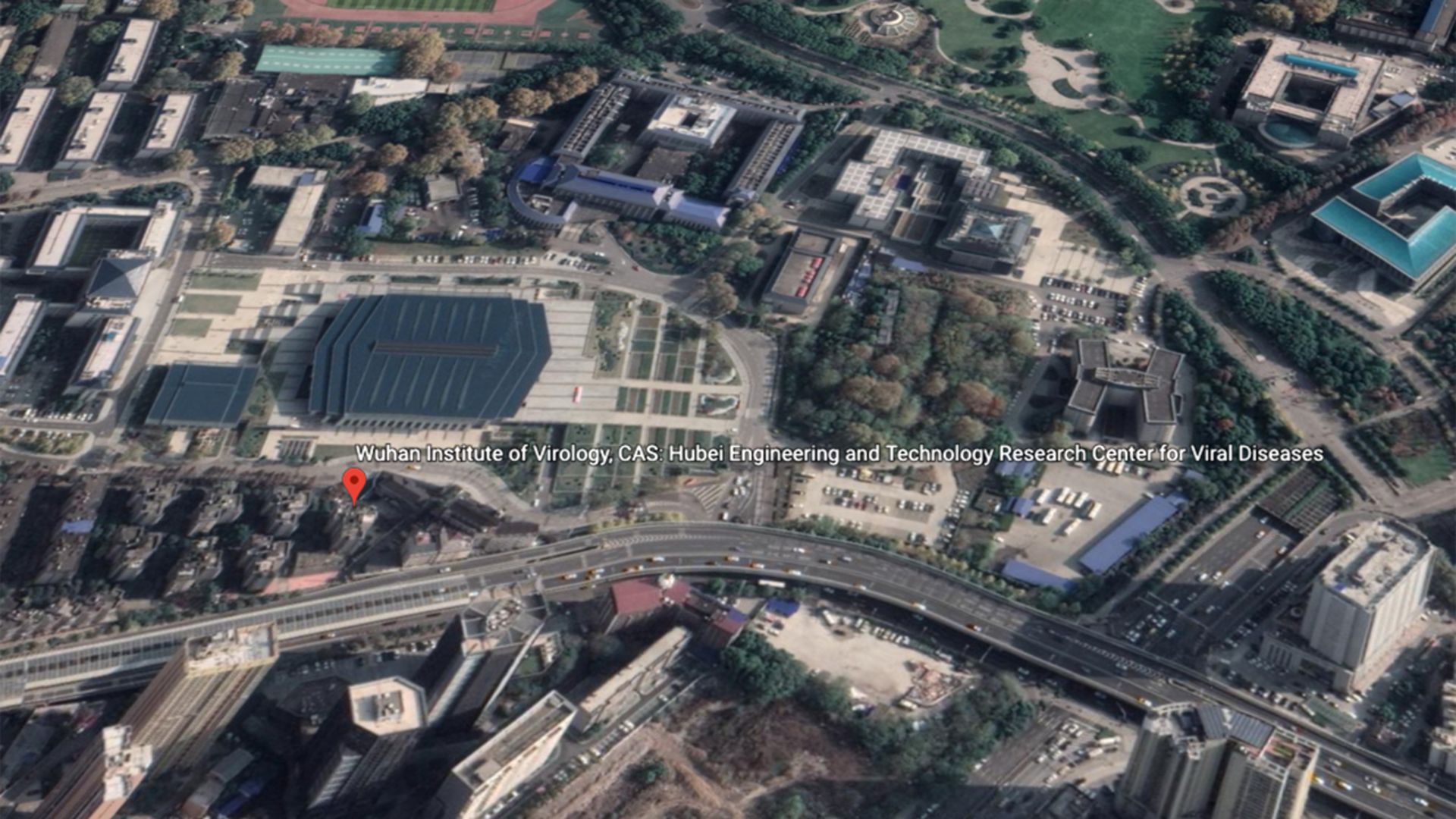 Sources who have been briefed on the early actions of China's government and seen relevant materials believe the virus was initially transmitted from a bat to a human and that "patient zero" worked in the Wuhan laboratory. 