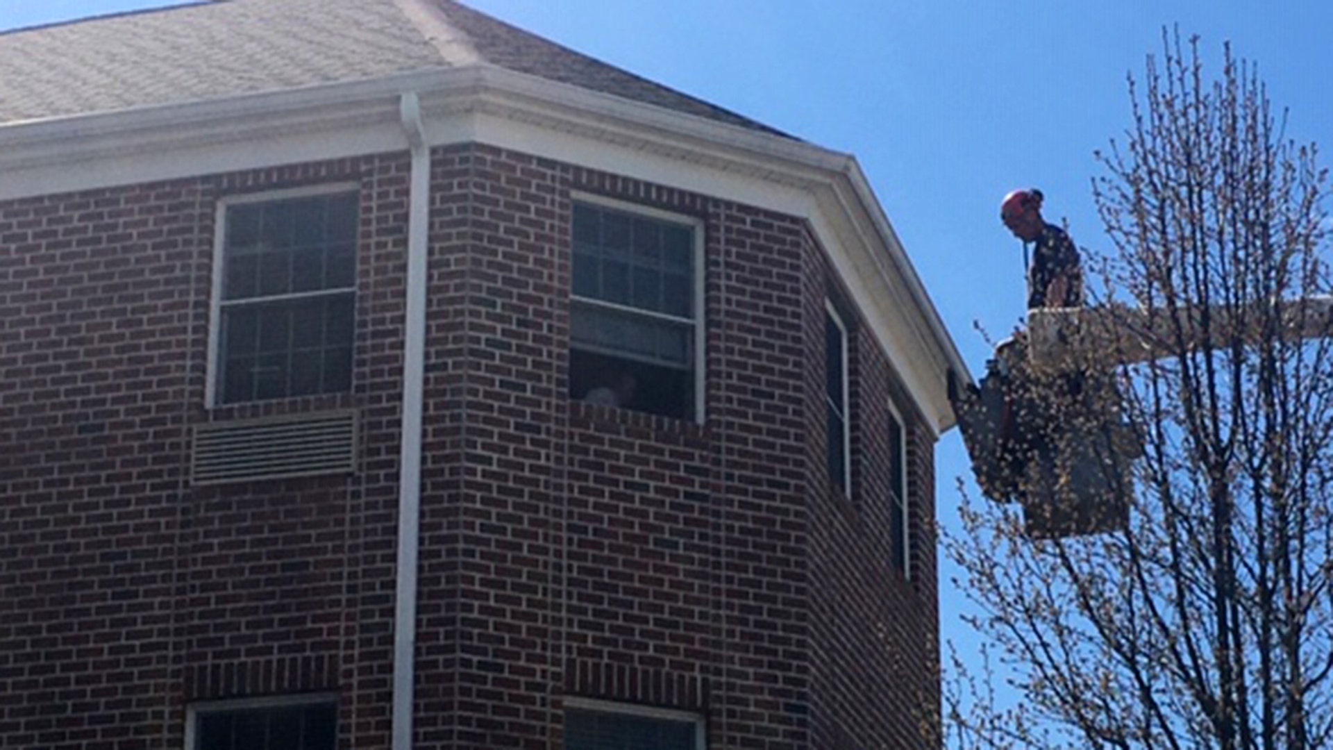 Coronavirus restrictions aren't stopping this son from safely visiting his mother at her assisted living home. Ohio arborist, Charley Adams, has been using a bucket truck to visit his 80-year-old mother Julie at her third-floor window at Windsor Estates Assisted Living in New Middletown, Ohio.