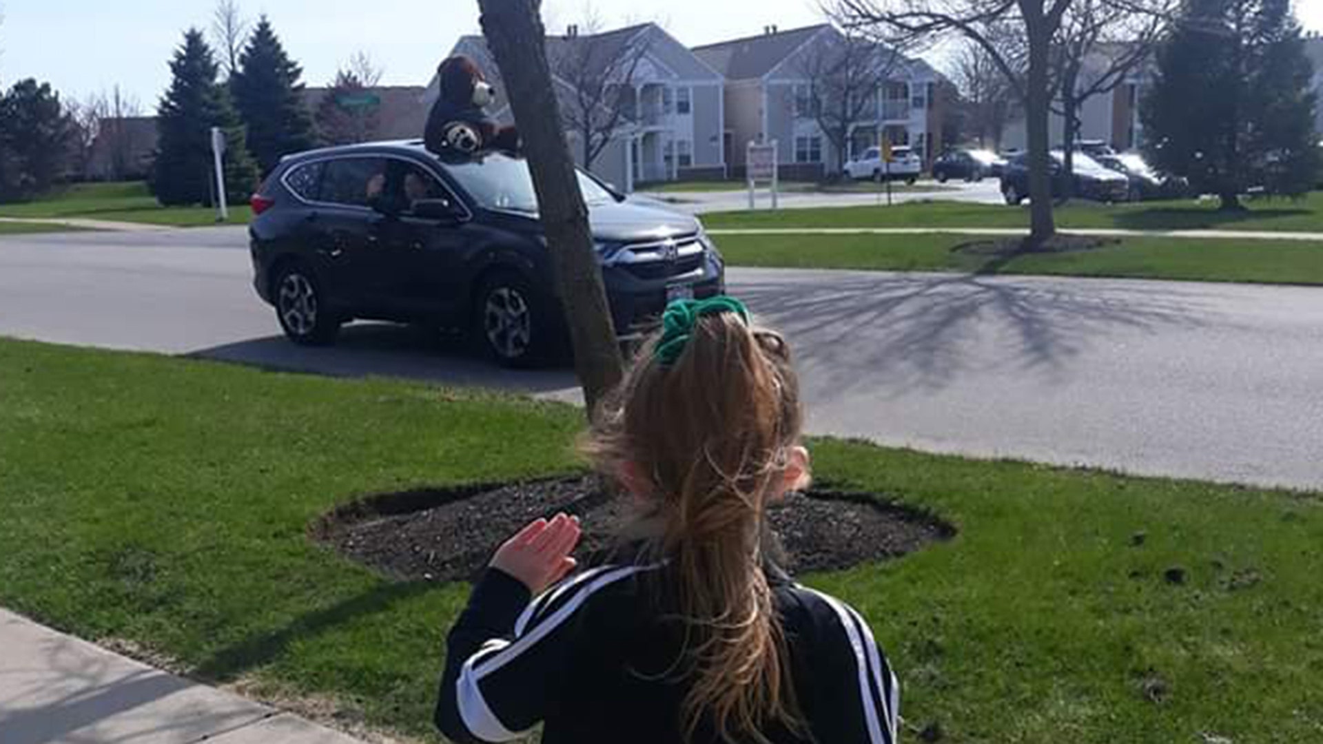 Five year old Ruby watching a car parade of teachers from her school honking &amp; waving! Grandpa Tut