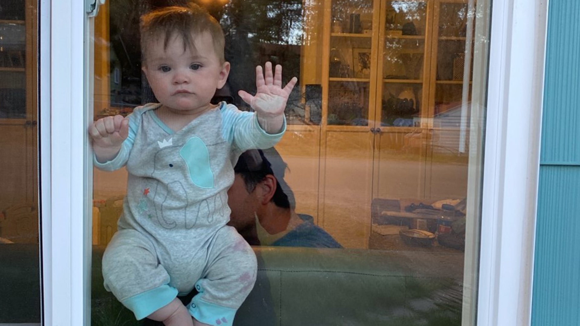 Quarantine Jimmy, 7 months old, from Prescott Az