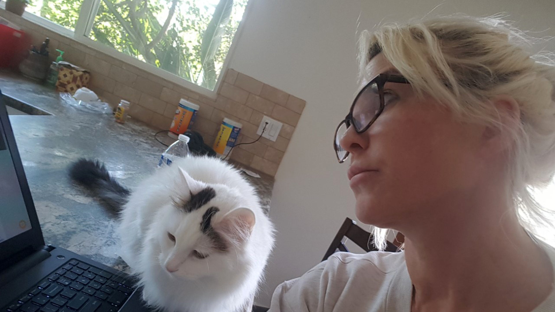 My cat is thrilled with shelter in place. He gets to be with me all day. Taken March 26th as I'm researching what's going on. Increasingly worried. Chlorox wipes and N95 mask in background. My husband is a fire chief, so he's out there, helping others, in the midst of this pandemic. It's not easy wondering how many times he's being exposed in the community. But grateful he's an essential worker and able to help. He's told me his area hospitals reporting many beds and ventilators available, so it was a bit confusing hearing news that there was a shortage.