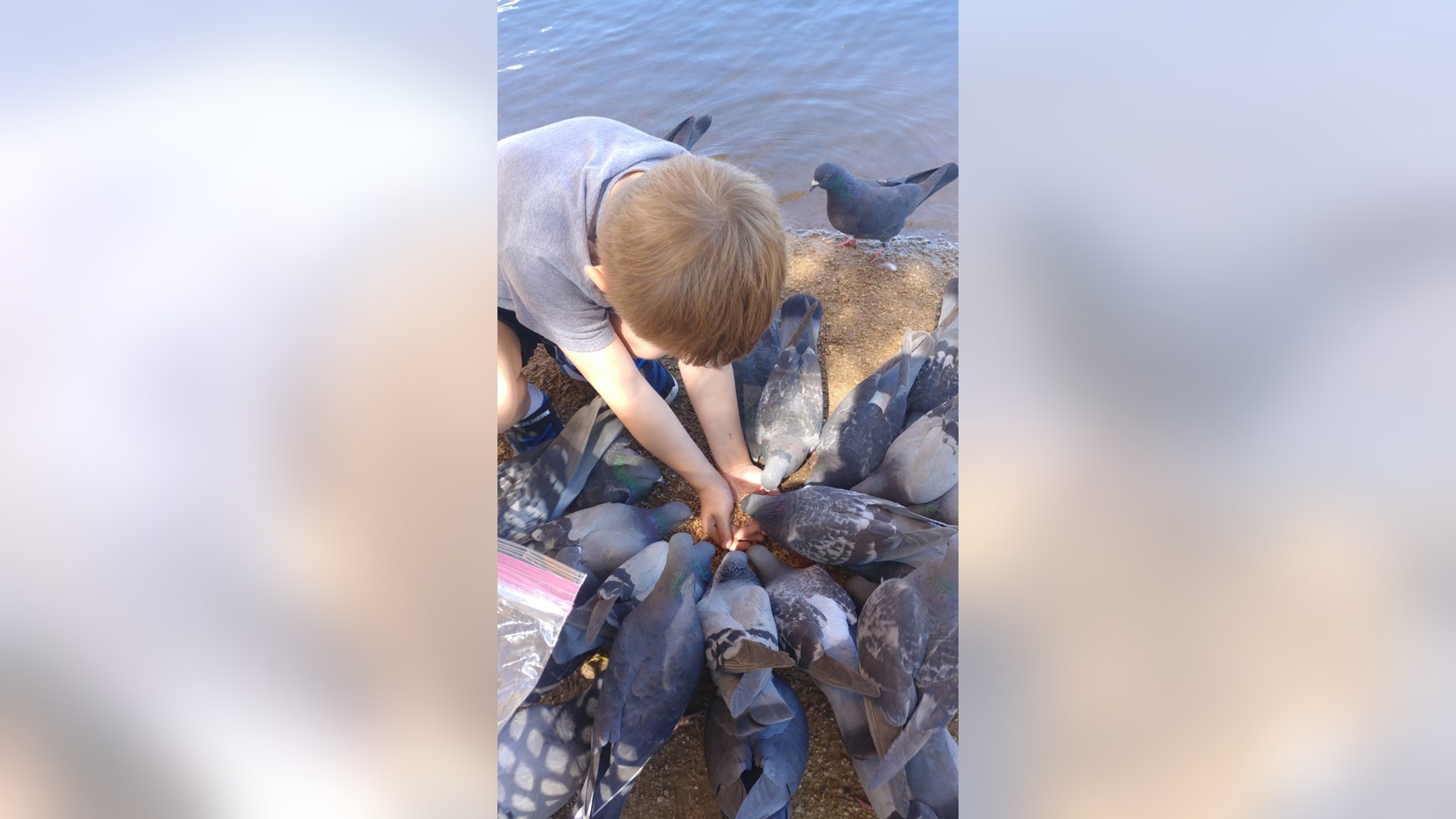 Right before the park closures, my son, an avid animal lover of all kinds, and I went to a lovely park to feed ducks. While the ducks did eat right out of his hands, the pigeons and doves joined right in! It was a day full of joy and fresh air. Yes, his hands were washed thoroughly after the feedings lol!