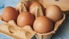 Liberals blame capitalism for soaring egg prices: 'Happening in a hyper-capitalist country'