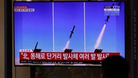 North Korea has fired suspected cruise missiles, South Korea says
