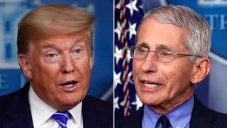 Former WH adviser unloads on 'evil' Fauci, says he repeatedly told Trump to can him