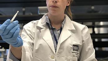 One third of participants in Massachusetts study tested positive for antibodies linked to coronavirus