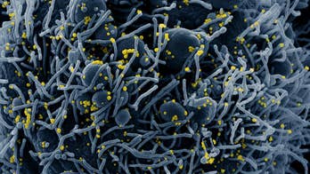 If you think you had coronavirus, a new study might give you your answer