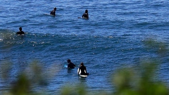 Virus expert implores surfers to stay out of ocean to avoid coronavirus
