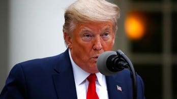 Trump announces US will halt funding to World Health Organization over coronavirus response