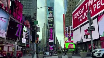 Northeastern University scientist reports US is flattening the curve, but must be patient