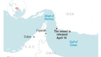 Iran suspected of seizing, releasing Hong Kong-flagged tanker near Strait of Hormuz