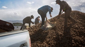 Idaho farm donates massive supply of potatoes amid a lack of demand due to the coronavirus