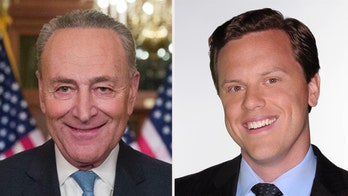 MSNBC host clashes with Schumer after claiming Dems 'standing in the way' of small business relief
