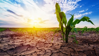 Climate-driven 'megadrought' is emerging in Western US, study says