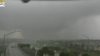 Tornado reported in Florida as severe weather brings downed trees, power lines to area