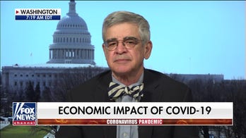 Economist Peter Morici on President Trump's task force focused on reviving the economy