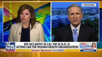 Kevin McCarthy: WHO acting like 'Wuhan Health Organization' during coronavirus