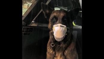 Ohio police department asks crooks to follow 'freeze tag' rules amid coronavirus: No 'tag backs'