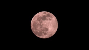 Super pink moon thrills skywatchers