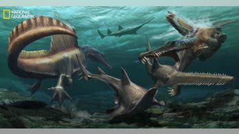 Terrifying Spinosaurus had powerful tail, becoming first known aquatic dinosaur