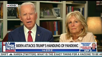Dana Perino blasts 'terrible idea' of Biden setting up 'shadow government' for coronavirus response