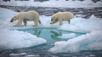 Disturbing study says Arctic Ocean could have ice-free summers in 30 years