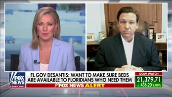 Gov. DeSantis on Holland America cruise ships with over 200 sick passengers: 'There is no easy solution'