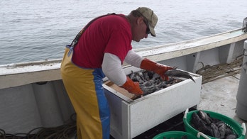 Commercial fishermen struggling to sell seafood amid restaurant closures