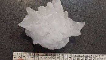'Gargantuan' hail from thunderstorm in Argentina may have shattered world record