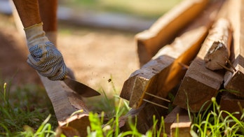 Army police officer in quarantine creates 'lumber jacked gym' out of wood in backyard