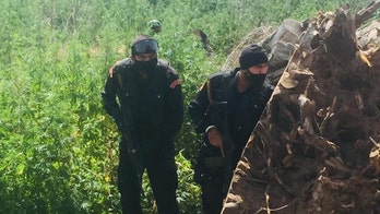 Police officer enforcing coronavirus lockdown in India has hand chopped off in sword attack