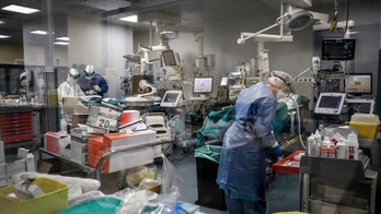 Epidemiologist Sarah Cobey: US 'will never be able to go back to normal until there's a vaccine'