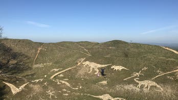 Family creates dinosaur sculptures during coronavirus social distancing