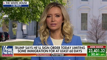 Kayleigh McEnany hits Illinois gov over 'ridiculous' criticism of Trump comments on protests