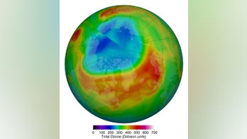 NASA says ozone depletion above Arctic hits 'record low'