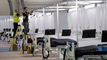 UK coronavirus adviser says lockdown measures could be eased by end of May