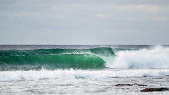 How Big Data helps researchers protect the high seas' biodiversity