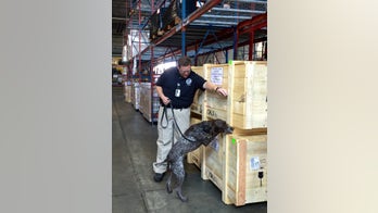 TSA confirms first employee death from coronavirus