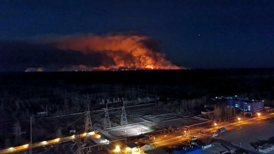 Forest fires out near Chernobyl nuclear plant, Ukrainian officials say