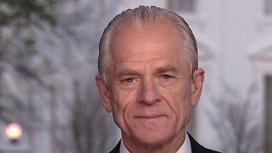 White House trade adviser Peter Navarro calls WHO chief one of China's 'proxies' at the UN