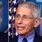 Conservatives rejoice when Fauci says he’ll leave White House if Trump wins 2024 election: ‘Sayonara’