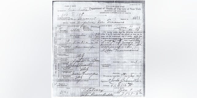 Angelina DiGiacomo's death certificate, dated Jan. 7, 1919. The cause, "labor pneumonia," is noted on the right-hand side.