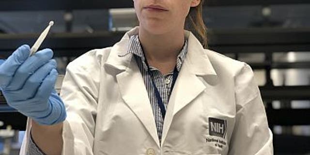 Health Kaitlyn Sadtler, Ph.D., study lead and principal investigator for laboratory testing, holds up a microsampling device from the home blood collection kit used in the study. (Credit: NIBIB)
